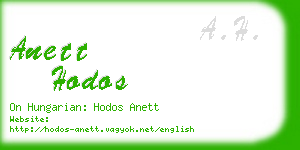 anett hodos business card